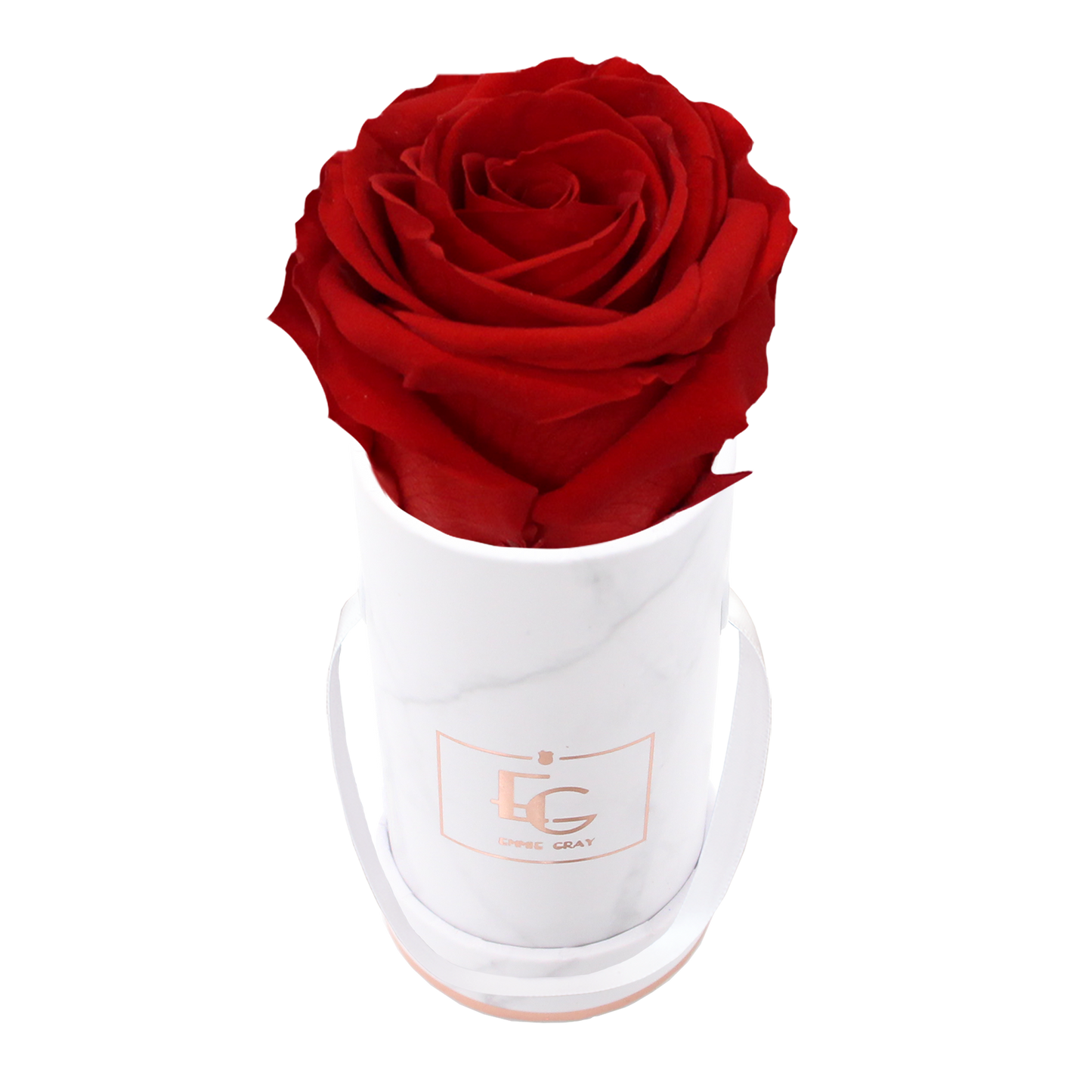 Classic Infinity Round Rosebox - XSS