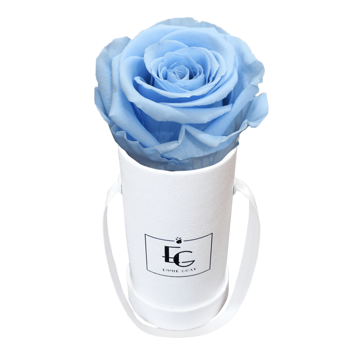 Classic Infinity Round Rosebox - XSS