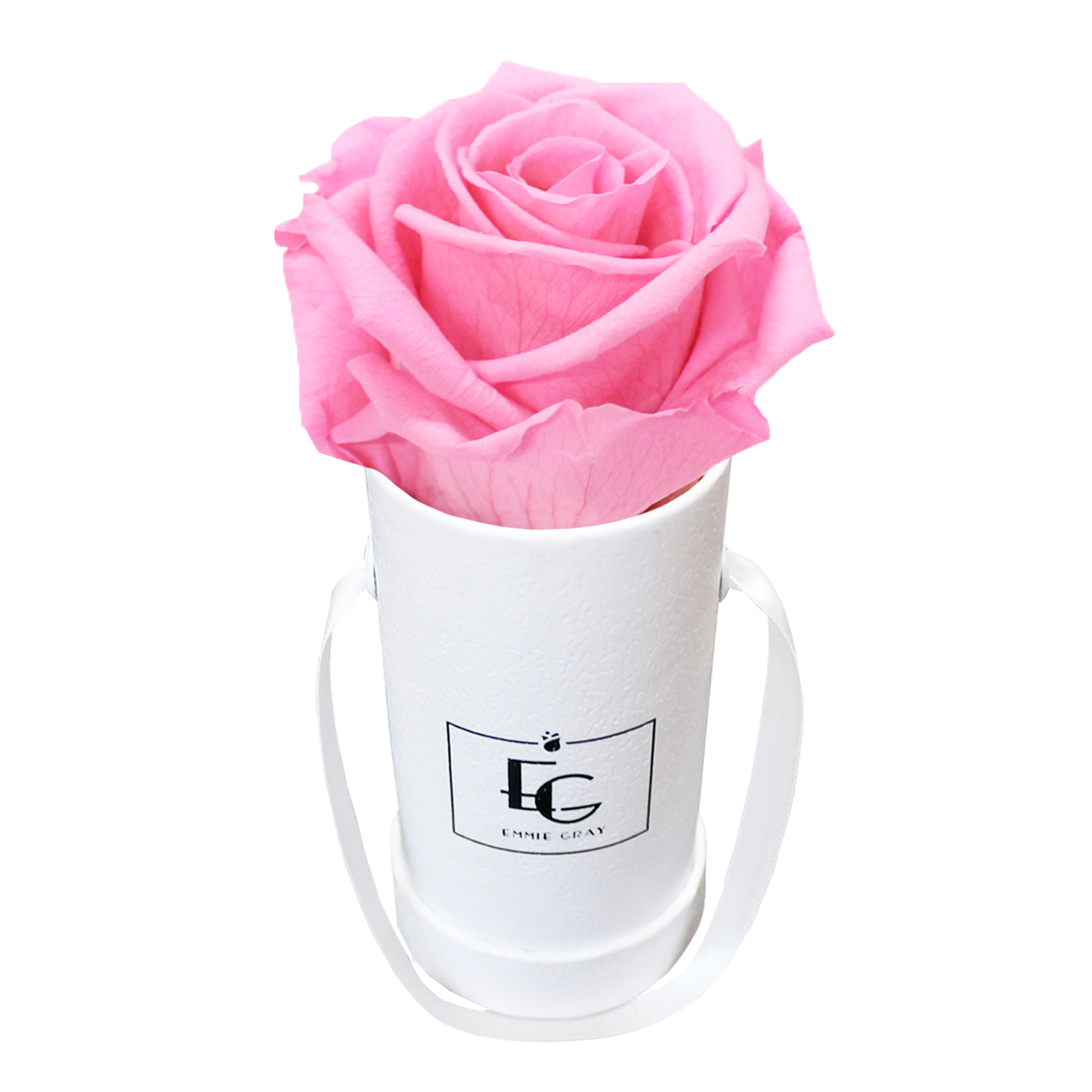 Classic Infinity Round Rosebox - XSS
