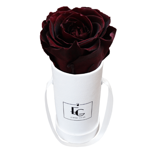 Classic Infinity Round Rosebox - XSS