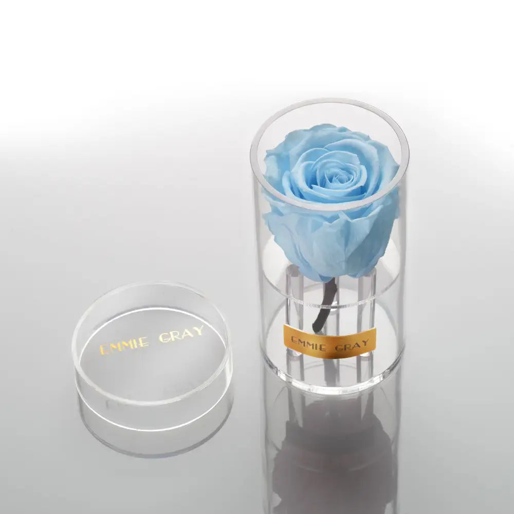 Crystal Infinity XSS – Preserved Roses Up to 3 Years – Jewelry Baby Blue by Flor de Oro | Customizable Luxury Jewelry