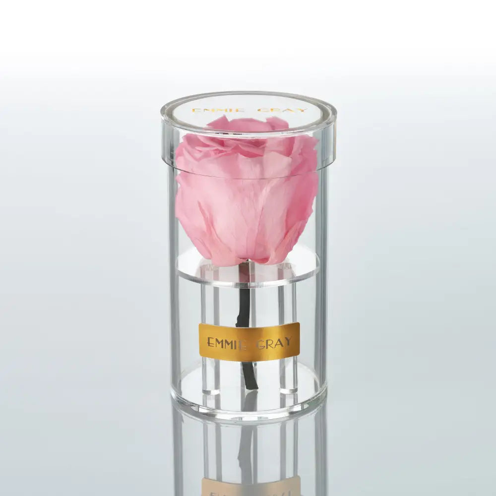 Crystal Infinity XSS – Preserved Roses Up to 3 Years – Jewelry Bridal Pink by Flor de Oro | Customizable Luxury Jewelry