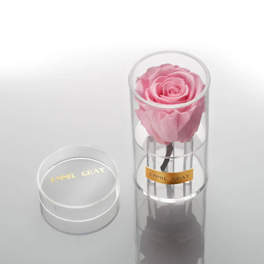 Crystal Infinity XSS – Preserved Roses Up to 3 Years – Jewelry Bridal Pink by Flor de Oro | Customizable Luxury Jewelry