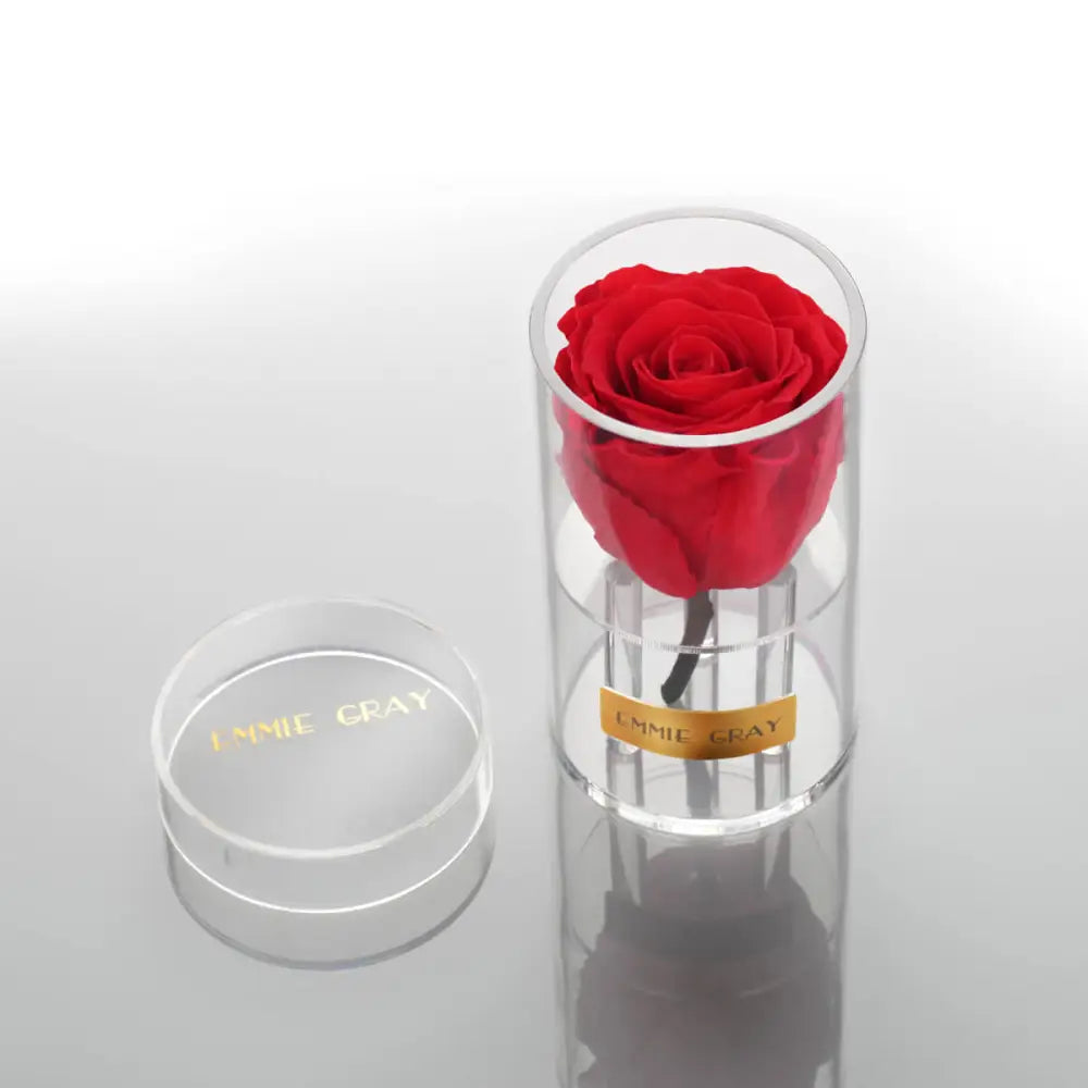 Crystal Infinity XSS – Preserved Roses Up to 3 Years – Jewelry Vibrant Red by Flor de Oro | Customizable Luxury Jewelry