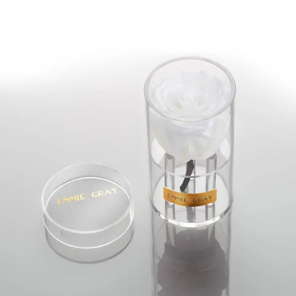 Crystal Infinity XSS – Preserved Roses Up to 3 Years – Jewelry Pure White by Flor de Oro | Customizable Luxury Jewelry