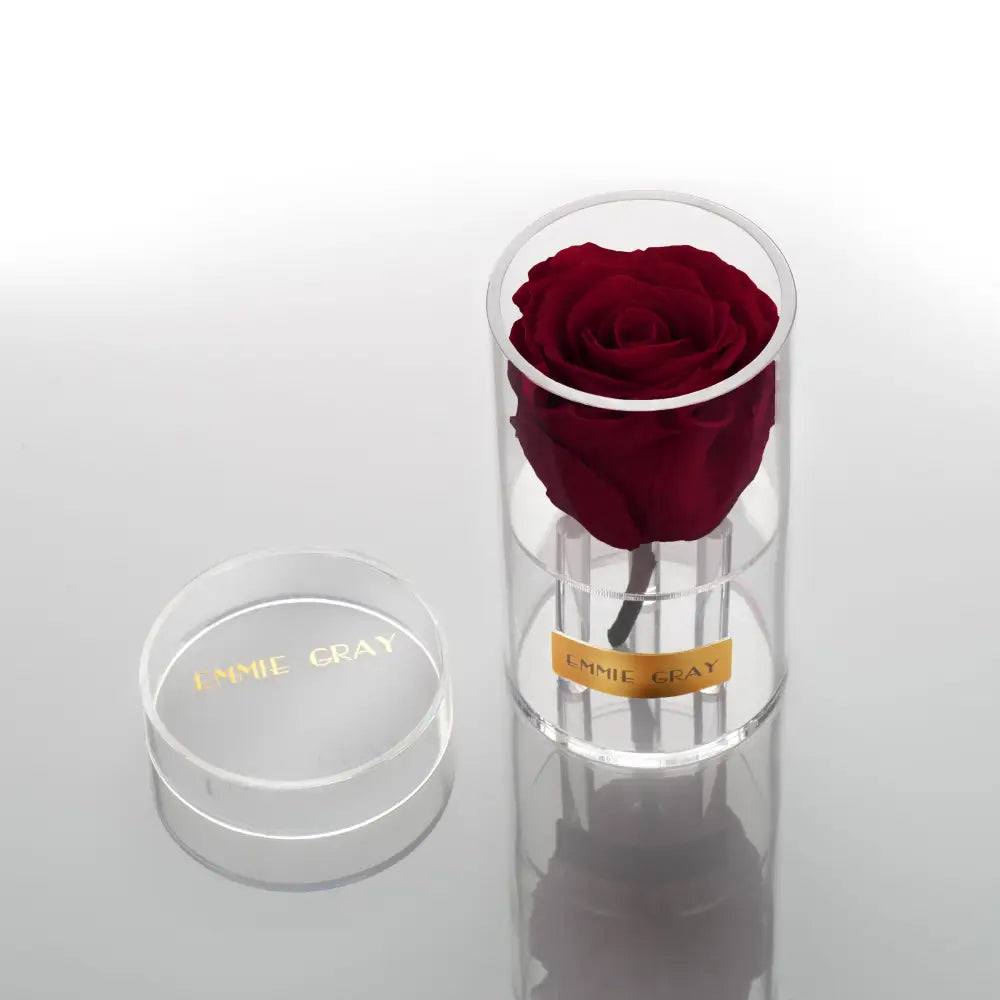 Crystal Infinity XSS – Preserved Roses Up to 3 Years – Jewelry Burgungy by Flor de Oro | Customizable Luxury Jewelry