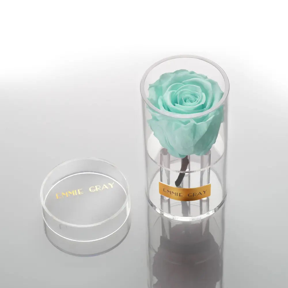 Crystal Infinity XSS – Preserved Roses Up to 3 Years – Jewelry Minty Green by Flor de Oro | Customizable Luxury Jewelry
