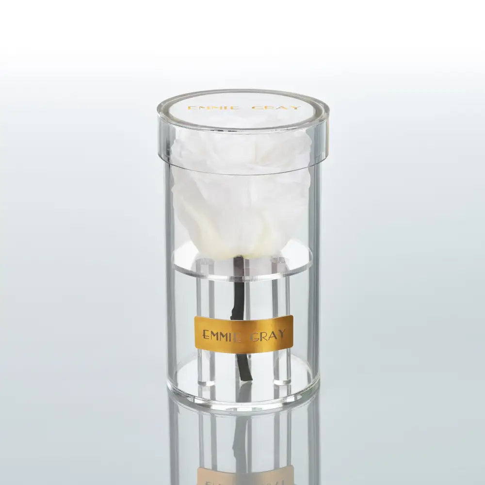 Crystal Infinity XSS – Preserved Roses Up to 3 Years – Jewelry Pure White by Flor de Oro | Customizable Luxury Jewelry