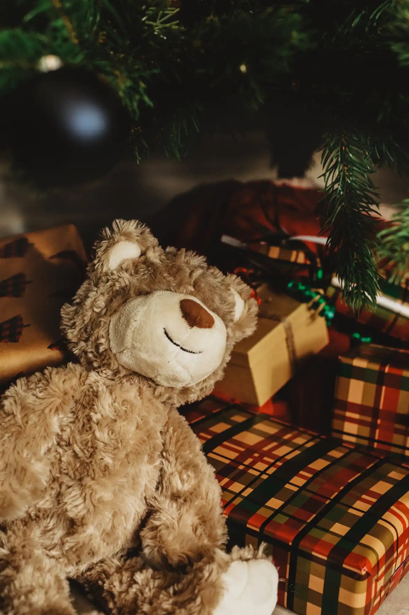 A fluffy brown teddy bear with a light-colored snout and a stitched smile.