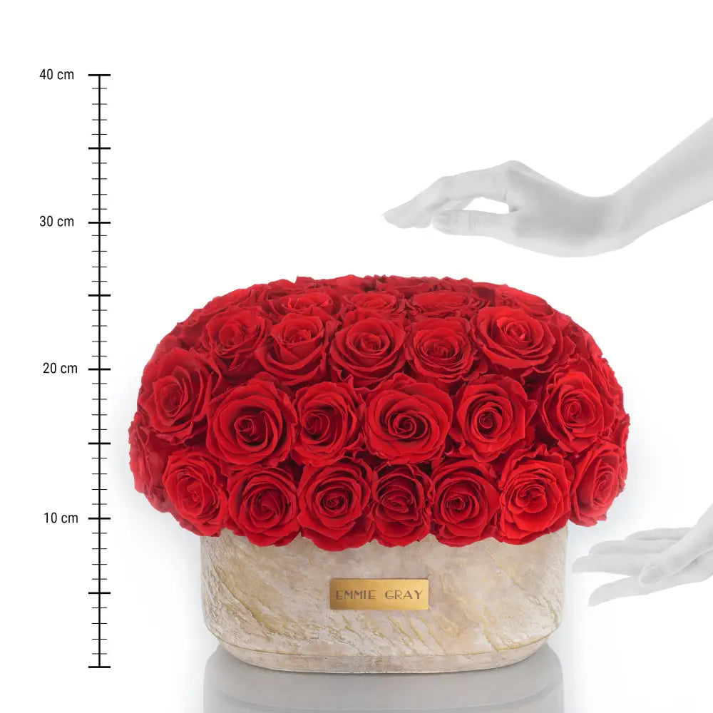 Premium Solid Splendid Infinity - M – Preserved Roses Up to 3 Years – Jewelry Vibrant Red by Flor de Oro | Customizable Luxury Jewelry