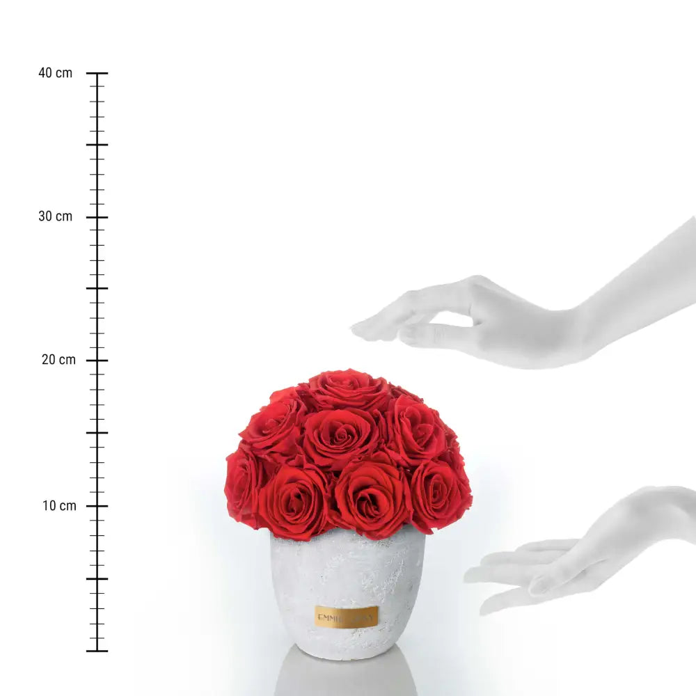 Premium Solid Splendid Infinity S – Preserved Roses Up to 3 Years – Jewelry Vibrant Red by Flor de Oro | Customizable Luxury Jewelry