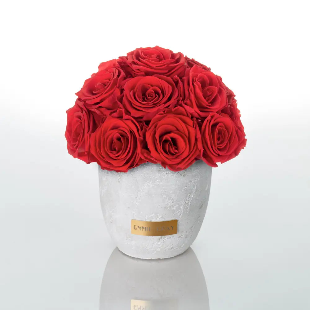 Premium Solid Splendid Infinity S – Preserved Roses Up to 3 Years – Jewelry Vibrant Red by Flor de Oro | Customizable Luxury Jewelry