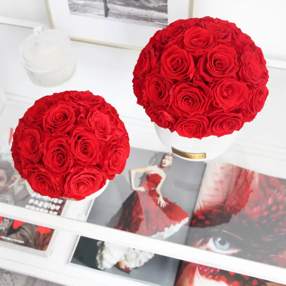 Premium Solid Splendid Infinity S – Preserved Roses Up to 3 Years – Jewelry Vibrant Red by Flor de Oro | Customizable Luxury Jewelry