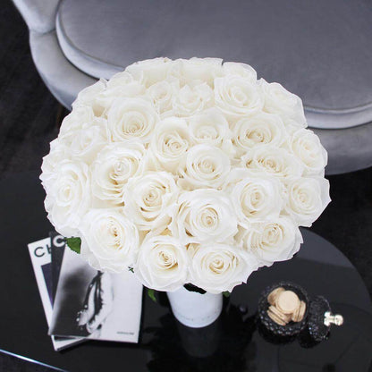 Classic Vase Set - L