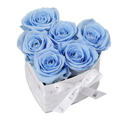 Klassische Infinity-Herz-Rosenbox – S