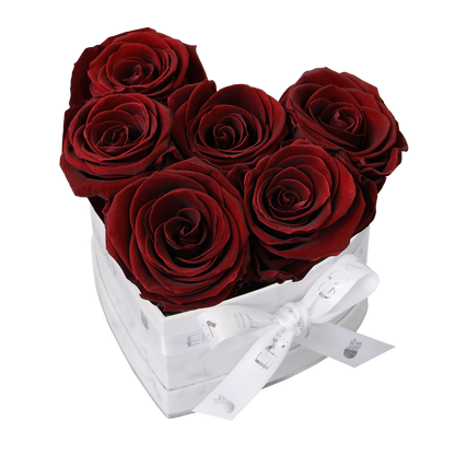 Klassische Infinity-Herz-Rosenbox – S