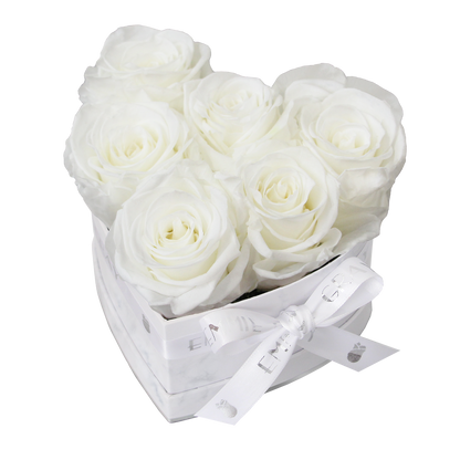 Klassische Infinity-Herz-Rosenbox – S