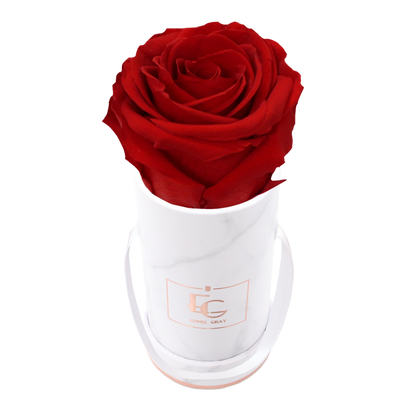 Classic Infinity Round Rosebox - XSS