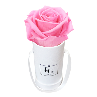Classic Infinity Round Rosebox - XSS
