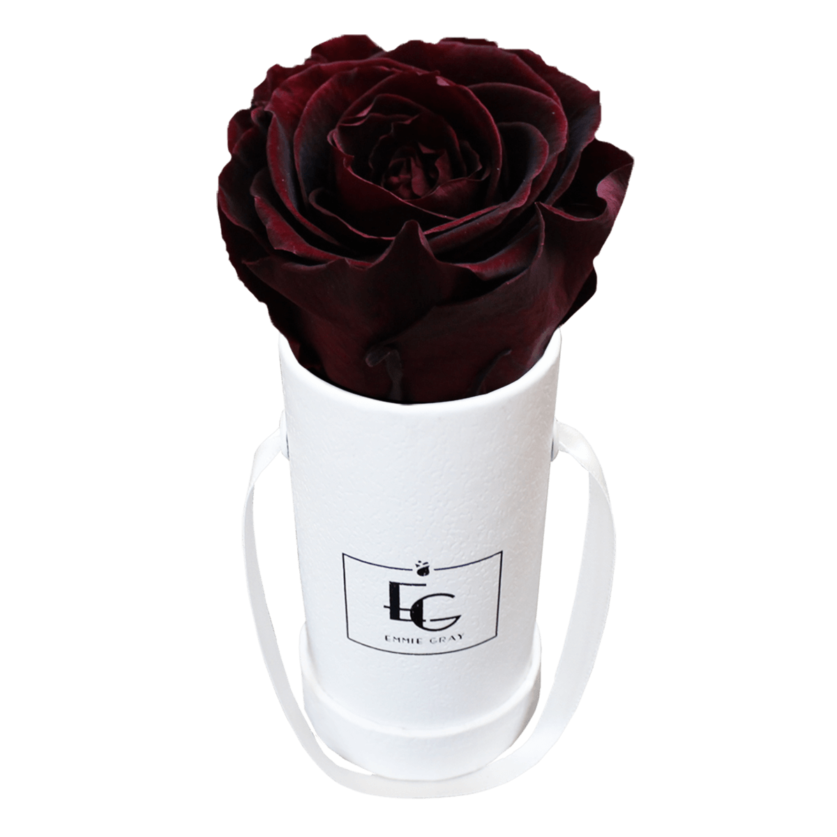 Classic Infinity Round Rosebox - XSS