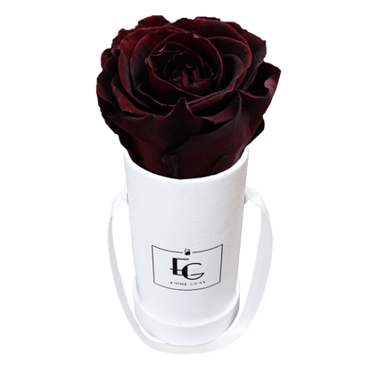 Classic Infinity Round Rosebox - XSS