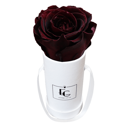 Klassische Infinity Round Rosebox - XSS
