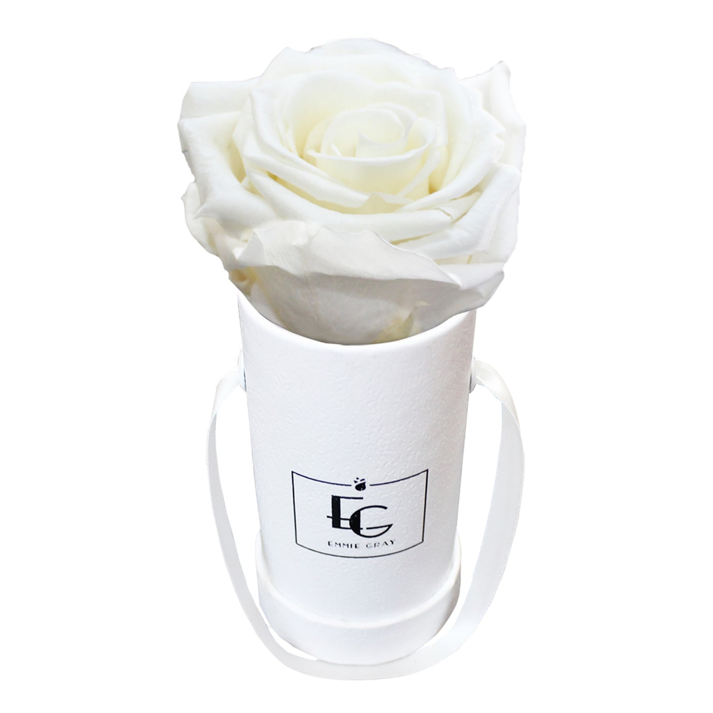 Classic Infinity Round Rosebox - XSS