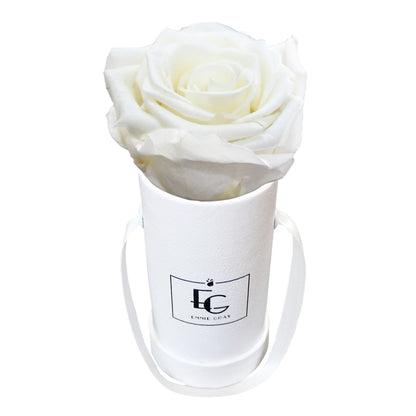 Classic Infinity Round Rosebox - XSS