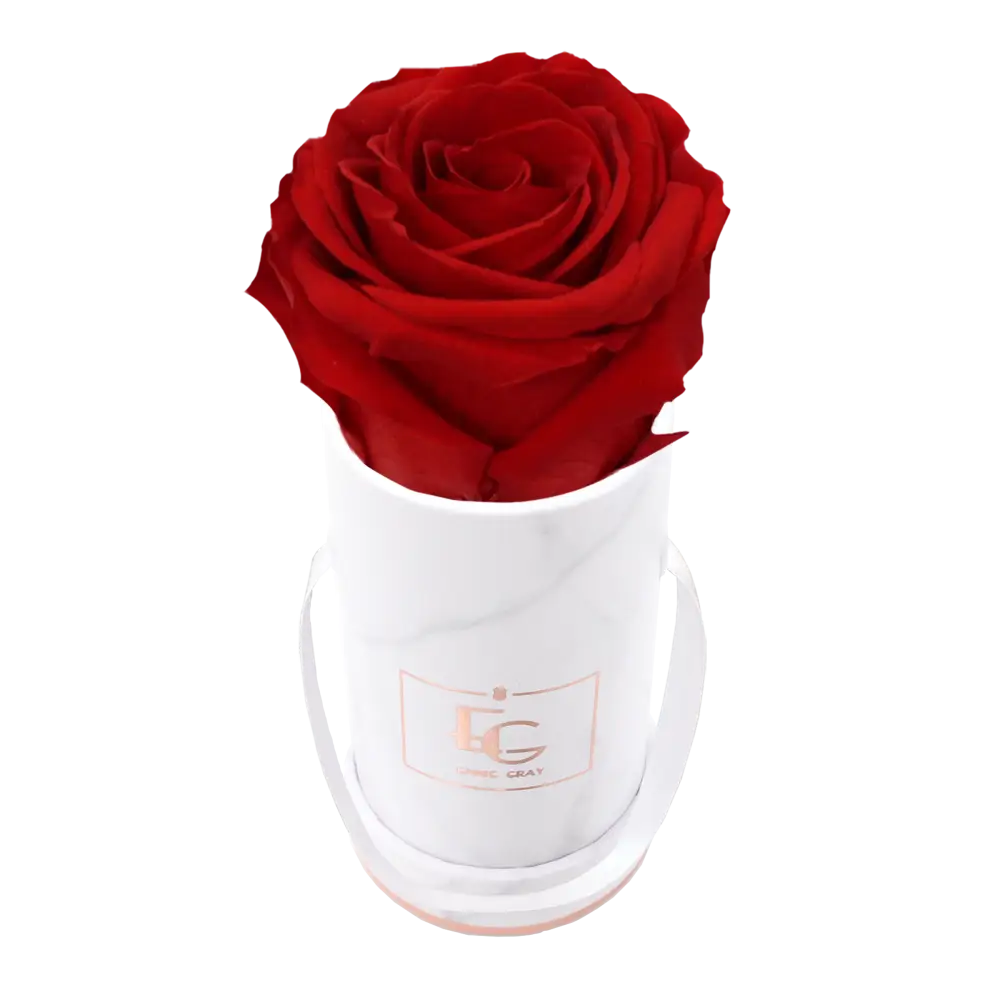 Classic Infinity Round Rosebox XSS – Preserved Roses Up to 3 Years – Rose Box Vibrant Red by Flor de Oro | Customizable Luxury Jewelry