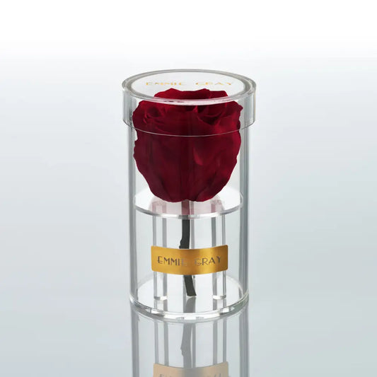 Crystal Infinity XSS – Preserved Roses Up to 3 Years – Jewelry Burgungy by Flor de Oro | Customizable Luxury Jewelry